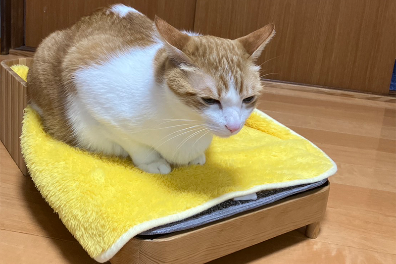 ねこサウナ【ベットタイプ】